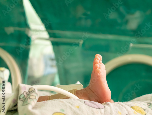 Premature baby´s foot inside a covered incubator with a cuff for blood pressure measurement. Critically ill. NICU. Neonatology.