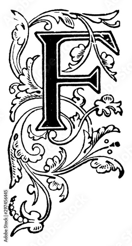 Floral Capital F, vintage illustration