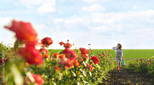 Woman with watering can walking near rose bushes outdoors