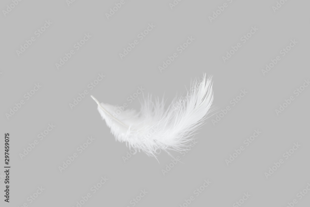 Soft single white feather falling down in the air Soft single white feather falling down in the air