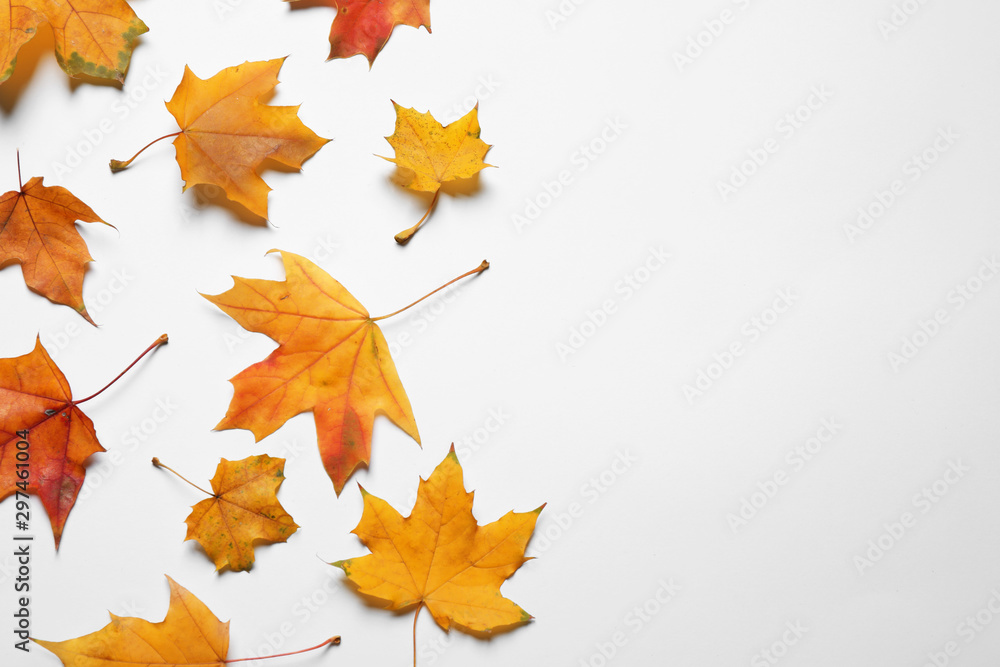 Flat lay composition with autumn leaves on white background. Space for text