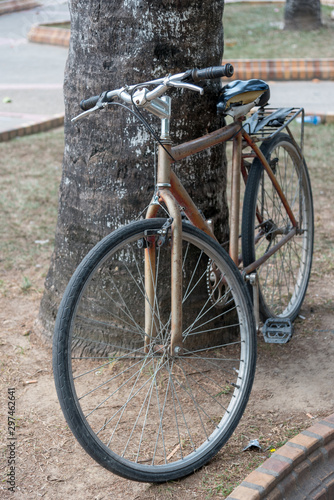 Old bicycle next to a tree in a park of a country town. Colombia.