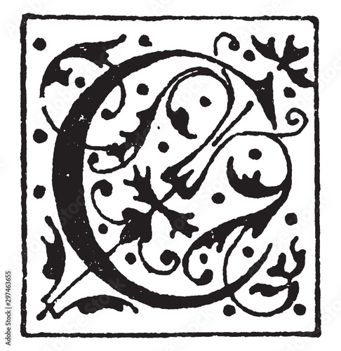 C, Ornate, vintage illustration
