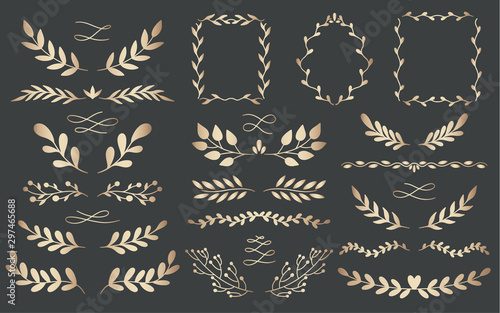 Plant nature gold dividers hand drawn set. Collection botanical element.Elegante vintage style.