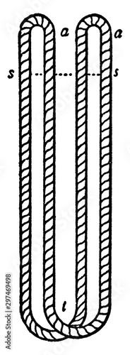 Double Strop, vintage illustration.