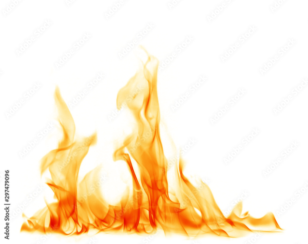 Fire flames on a white background. - obrazy, fototapety, plakaty 