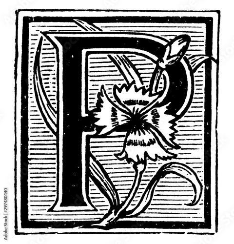 Floral Decorative P, vintage illustration