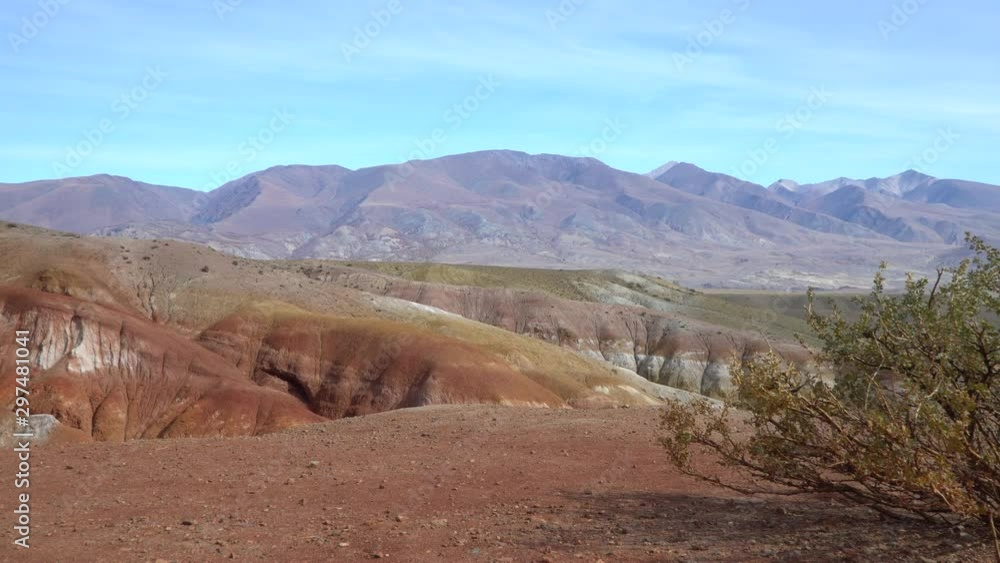 Altai mountains valley panoramic shot with a bush on the foreground, natural park in Siberia. Altai mountains valley panoramic shot with a bush on the foreground, natural park in Siberia.