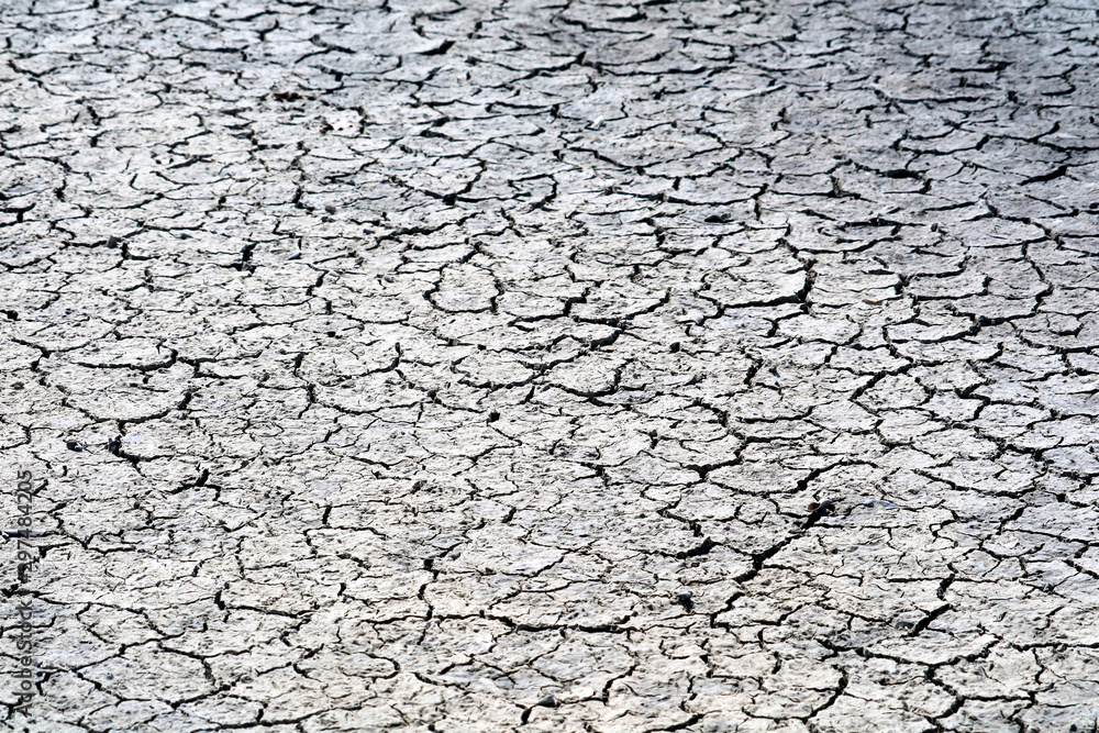 The soil is dry, the surface is cracked because it doesn't rain for a long time and sunburn on top dirt