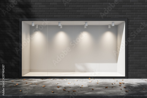Empty lighted showcase in the daytime. Empty space for advertising. Mock up. 3d rendering