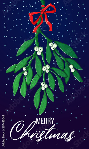 Merry Christmas creative banner layout with hand draw mistletoe and red bow. Cute Xmas postcard design idea with ilex and snow on blue background. Festive poster vector illustration.