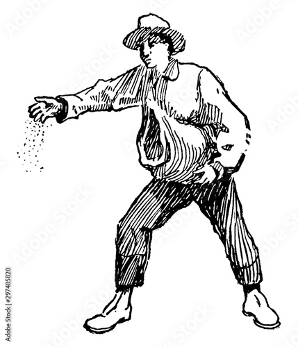 Sower, vintage illustration