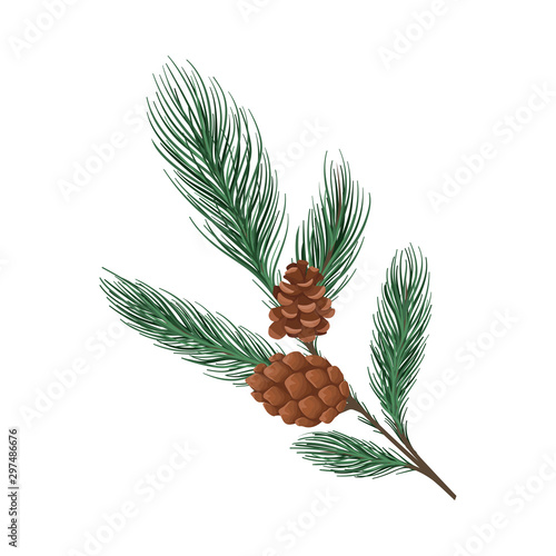 Thin pine branch with a cone. Vector illustration.