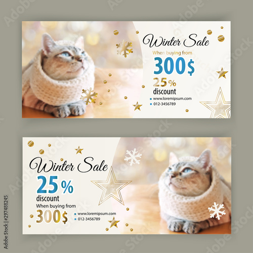 Voucher template. Tabby cat in white scarf. When buying from 300 dollars 25 percent discount. Christmas coupon for cloth sales, zoo stores