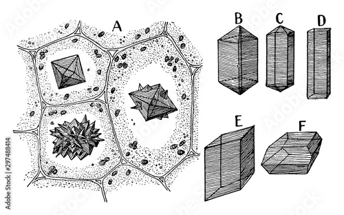 Quadro em tela Calcium Oxalate Crystals vintage illustration.