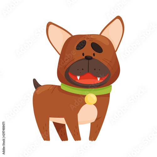 French Bulldog. Vector illustration on a white background.