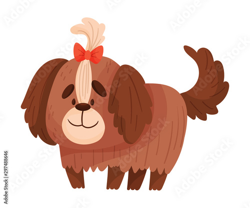 Cute yokshire terrier. Vector illustration on a white background. photo