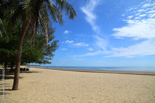 Tropical beach with coconut trees in sunny day.