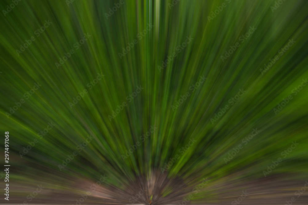 Obraz premium Backdrop the distribution of light abstract background art colors, bokeh and blur.