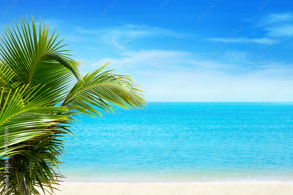 Beautiful white sand beach, blue sea water, clouds background, green palm tree leaves close up, vacation on exotic tropical paradise island concept, hot summer holiday relax, travel banner, copy space