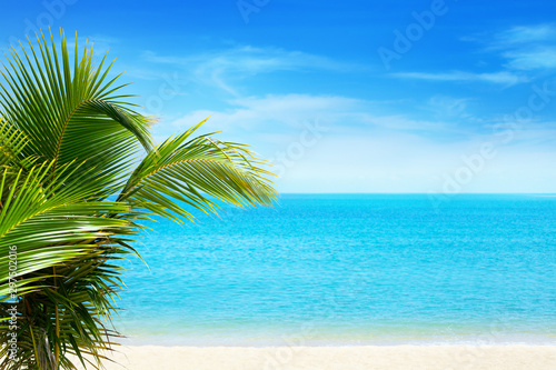 Beautiful white sand beach  blue sea water  clouds background  green palm tree leaves close up  vacation on exotic tropical paradise island concept  hot summer holiday relax  travel banner  copy space