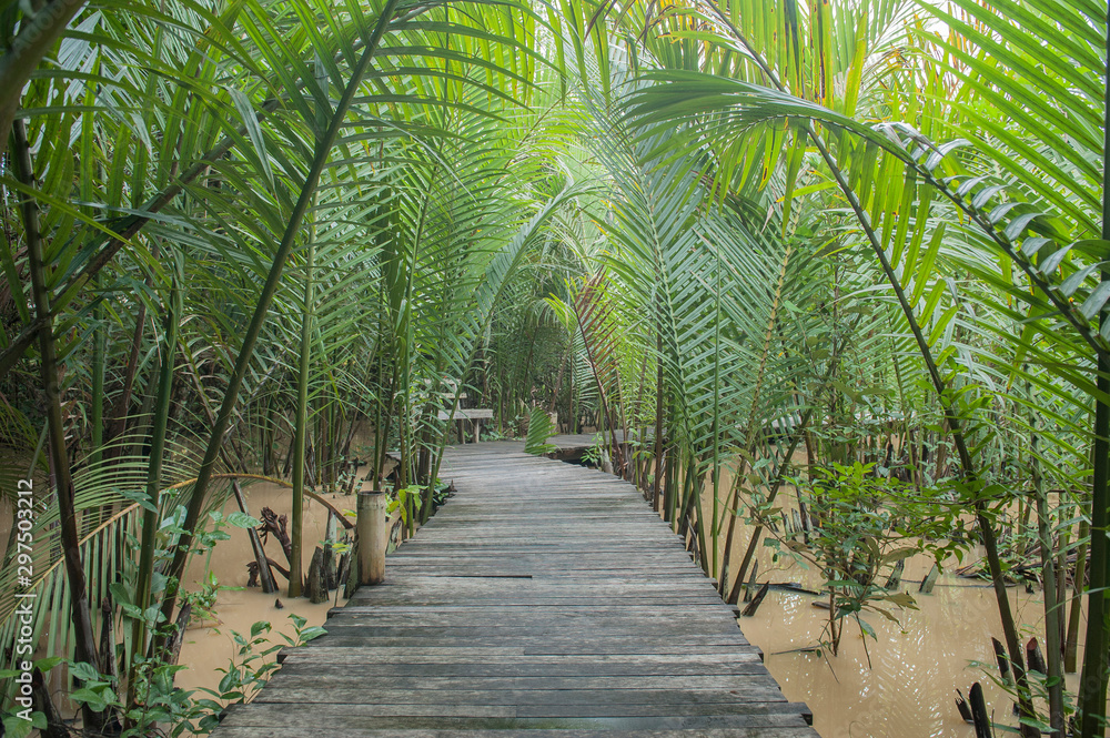 Wooden path under the canoupy of  the Nypa palm (Ton Jak) leaves,  southern Thailand.