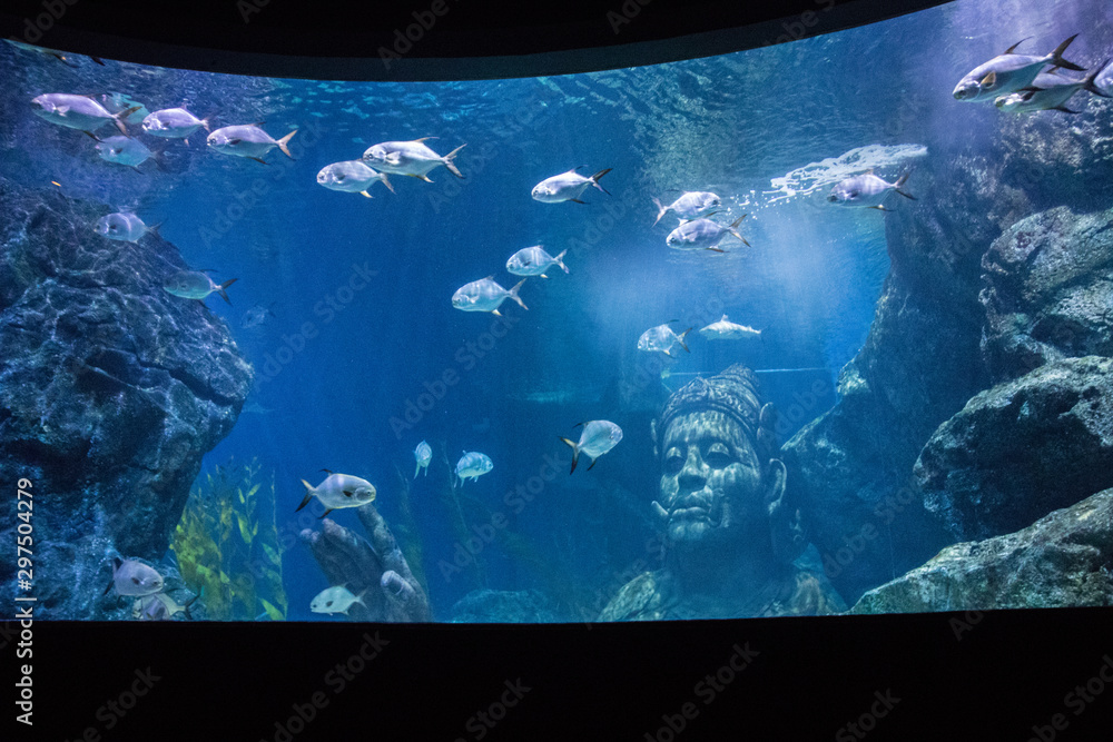 Obraz premium Sea Life Bangkok Ocean World Aquarium in the shopping center of Siam Paragon