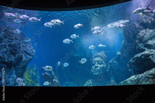 Sea Life Bangkok Ocean World Aquarium in the shopping center of Siam Paragon