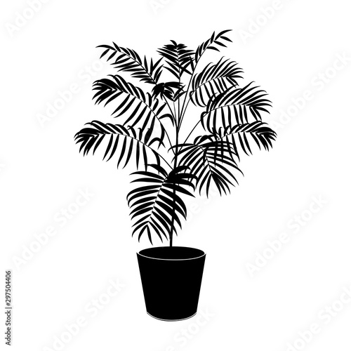 Black silhouette tropical palm tree in pot isolated on the white background, vector