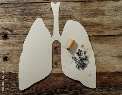 smoking kills and causes lung cancer concept. Conceptual image of burning cigarette and lungs