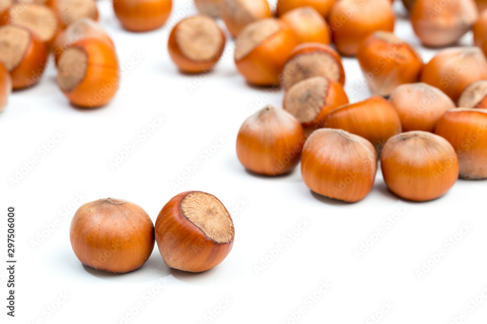 Hazelnuts isolated on white background - Image Hazelnuts isolated on white background - Image