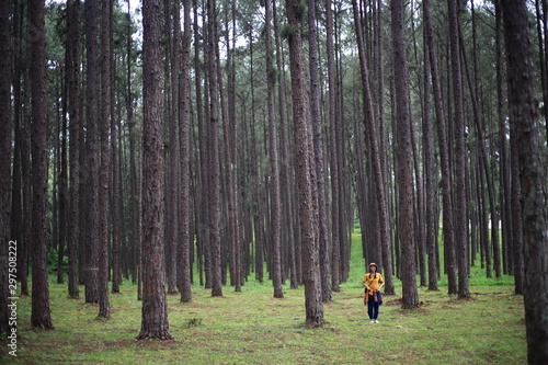 A Woman at Suan Son Bor Kaeo a pine forest in Chiang Mai, Thailand