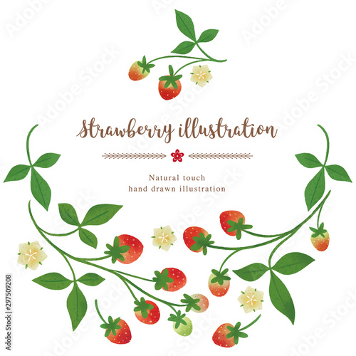 いちごのイラスト/春の恵み