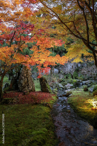 京都 紅葉 © 豊 杉原