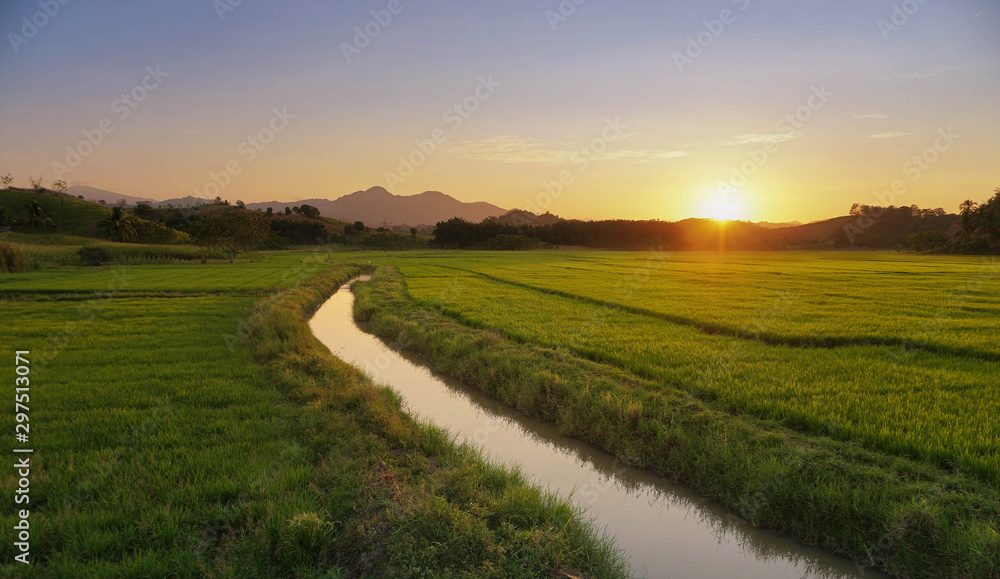 Obraz premium Wschód słońca na polach ryżowych