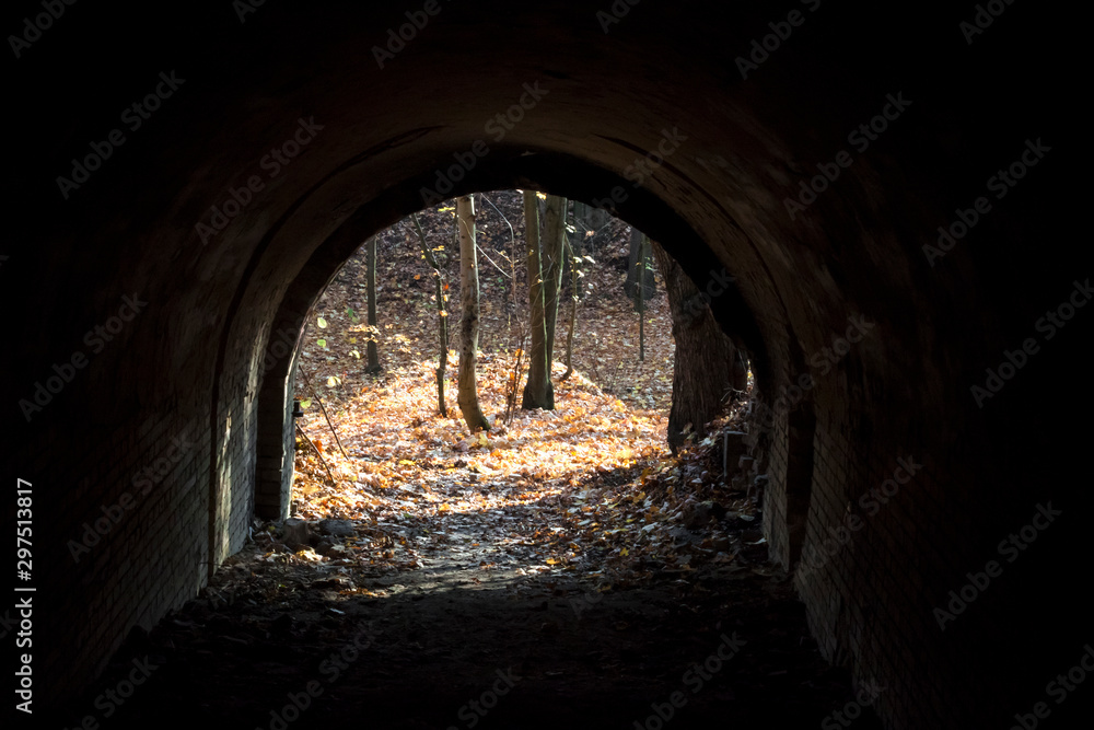 Old tunnel with brick walls overlooking the autumn forest
