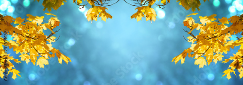 Foto Decorative autumn banner decorated with branches with fall golden yellow maple leaves on background of autumnal foliage and shiny glowing bokeh, Indian summer