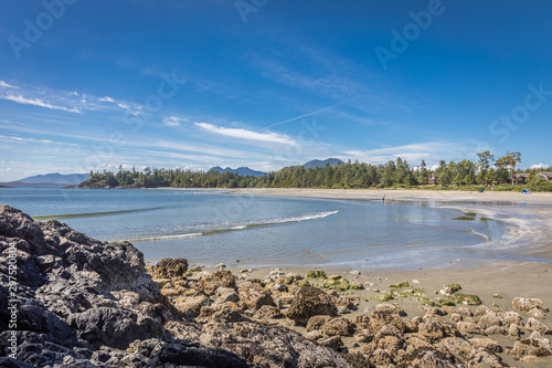 View of MacKenzie Beach near Tofino  Vancouver Island  British Columbia  Canada
