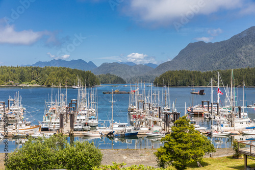 Bild auf Leinwand Harbor in Tofino, Vancouver Island, Canada