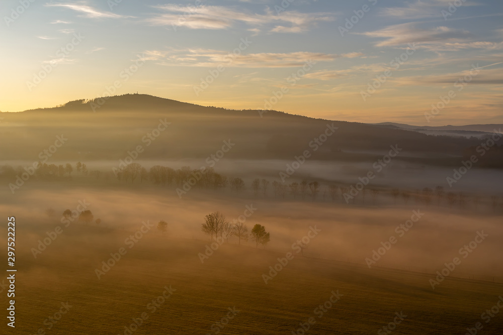 Aerial view to trees silhouette in misty orange fog at sunrise, Czech landscape