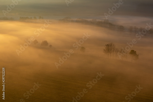 Aerial view to autumn trees in misty gold fog, Czech landscape