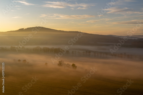Aerial view to trees silhouette in misty orange fog at sunrise  Czech landscape