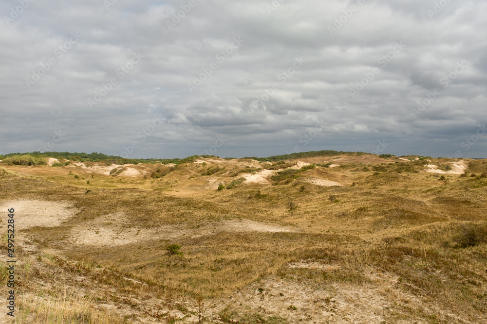 Dry dune landscape and a gray cloudy sky