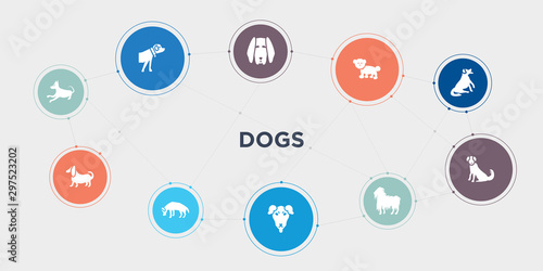 dogs 10 points circle design. basenji dog, basset hound dog, beagle dog, beauceron round concept icons..