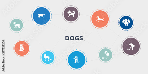 dogs 10 points circle design. field spaniel dog, fox terrier dog, german shepards dog, goldador round concept icons..