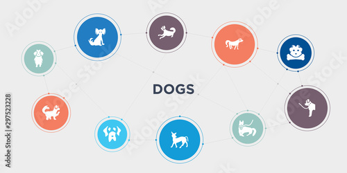 dogs 10 points circle design. maltese dog, maltipoo dog, mastiff dog, mexican hairless round concept icons..