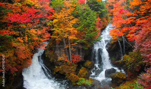 日光竜頭の滝（日本）の鮮やかな紅葉