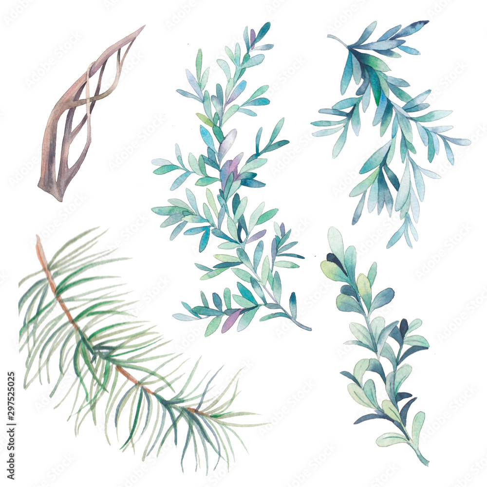 Watercolor floral objects set. Winter collection of branches and leaves elements isolated on white background. Hand drawn plants clip art