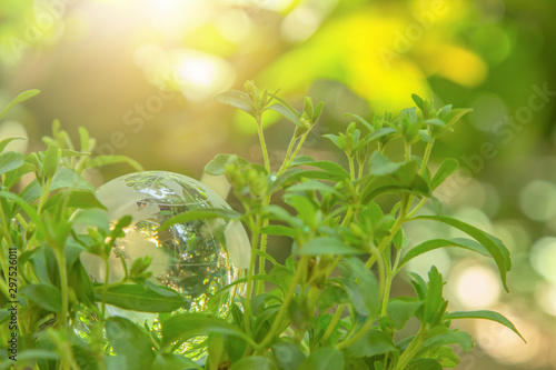 World globe crystal glass on green leaves bush. Green & Eco environment. Environmental conservation. World environment day. Global business for sustainable development. Nature and ecology concept.