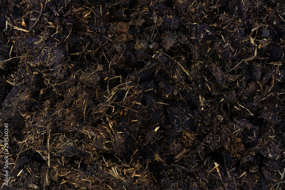 Brown texture of the manure for fertilizing Brown texture of the manure for fertilizing
